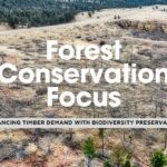 The Role of Deforestation in Accelerating Biodiversity Loss