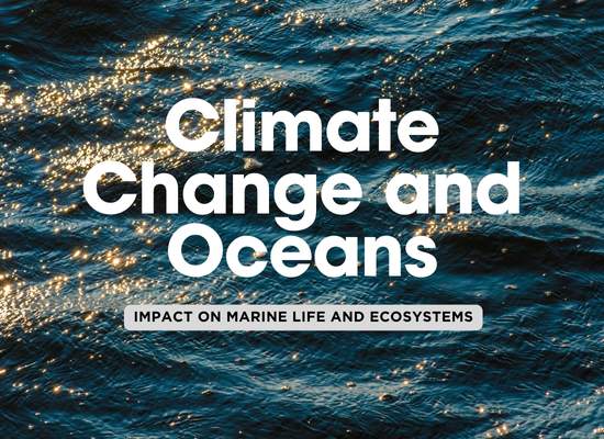 How Climate Change is Reshaping Our Oceans: Impacts on Currents and Marine Life