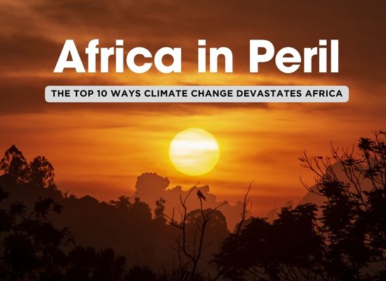 Africa’s Climate Crisis: 10 Devastating Effects and How They’re Changing the Continent