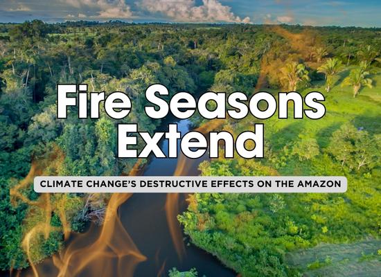 The Amazon on Fire: 7 Consequences of Climate Change