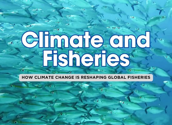 8 Ways Climate Change is Impacting Global Fisheries 🐟