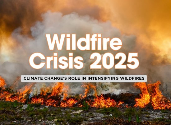 10 Key Ways Climate Change is Fueling Wildfires in 2025